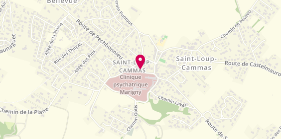 Plan de Boucherie Anthony Fau, 6 Route de Pechbonnieu, 31140 Saint-Loup-Cammas