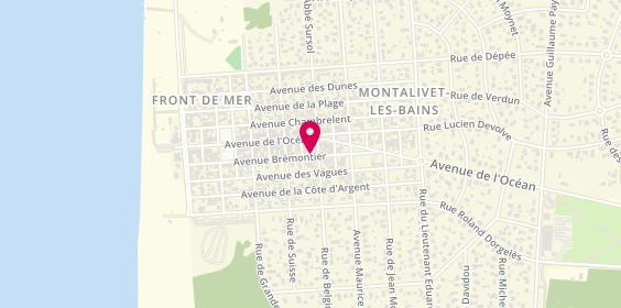 Plan de Elia, 39 avenue Brémontier, 33930 Vendays-Montalivet