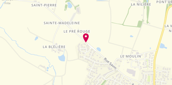 Plan de TENAILLEAU Laurent, Route de Palluau, 85170 Le Poiré-sur-Vie