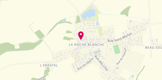 Plan de L'Orpin, 69 Rue des Marronniers, 44522 La Roche-Blanche