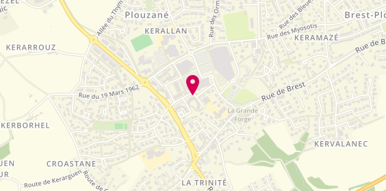 Plan de Ansamble, 41 Rue Jean Jaurès, 29280 Plouzané